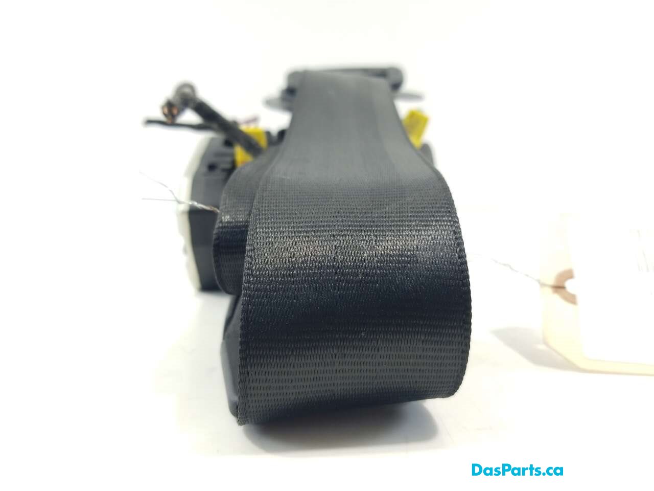Seat Belt RF