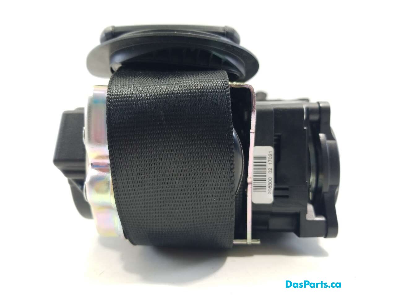 Seat Belt RF