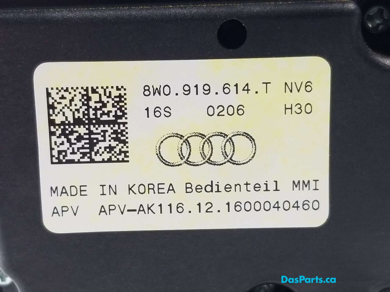 Multimedia Input