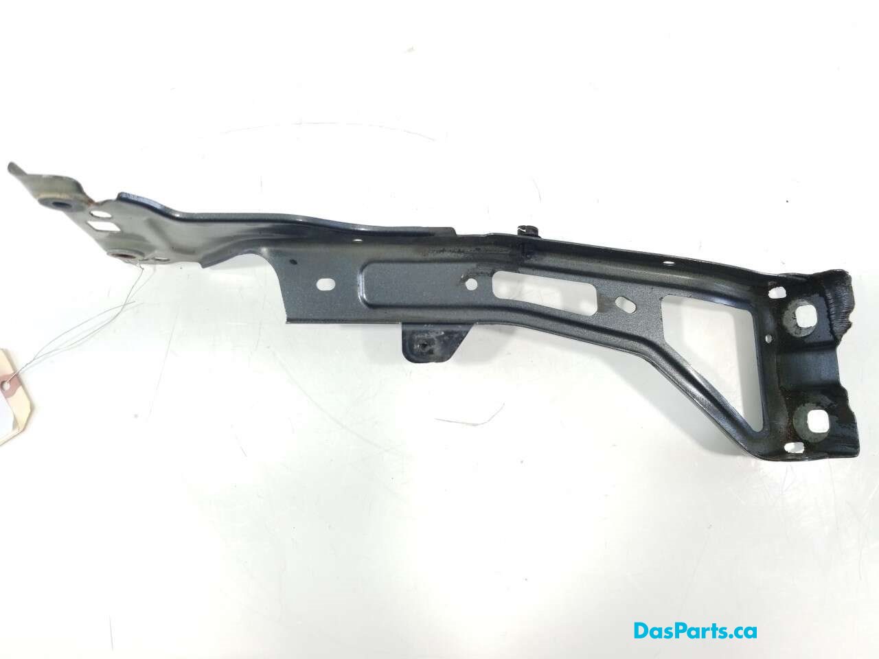 Fender Support LF