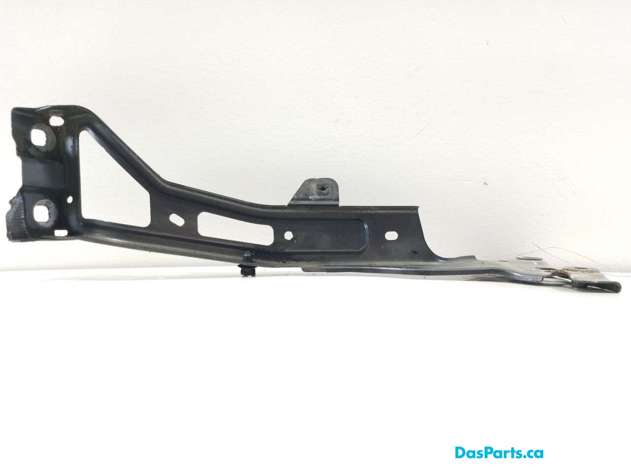 Fender Support LF