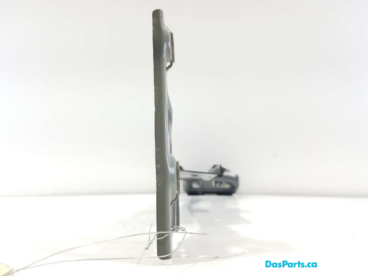 Fender Support LF