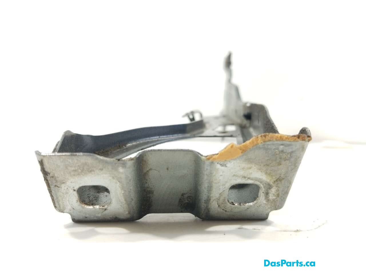 Fender Support LF