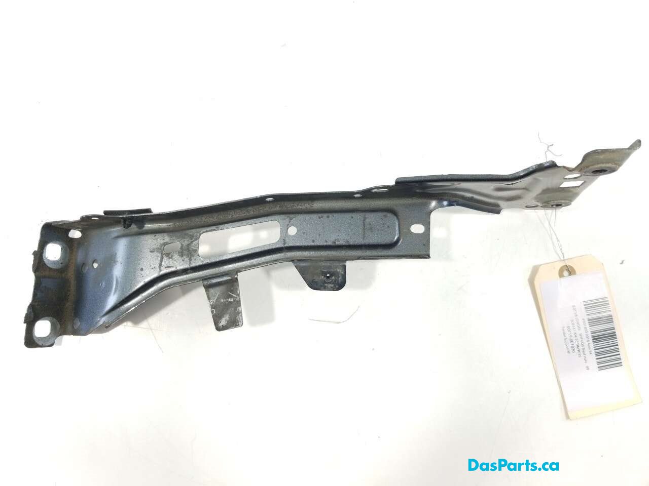 Fender Support RF
