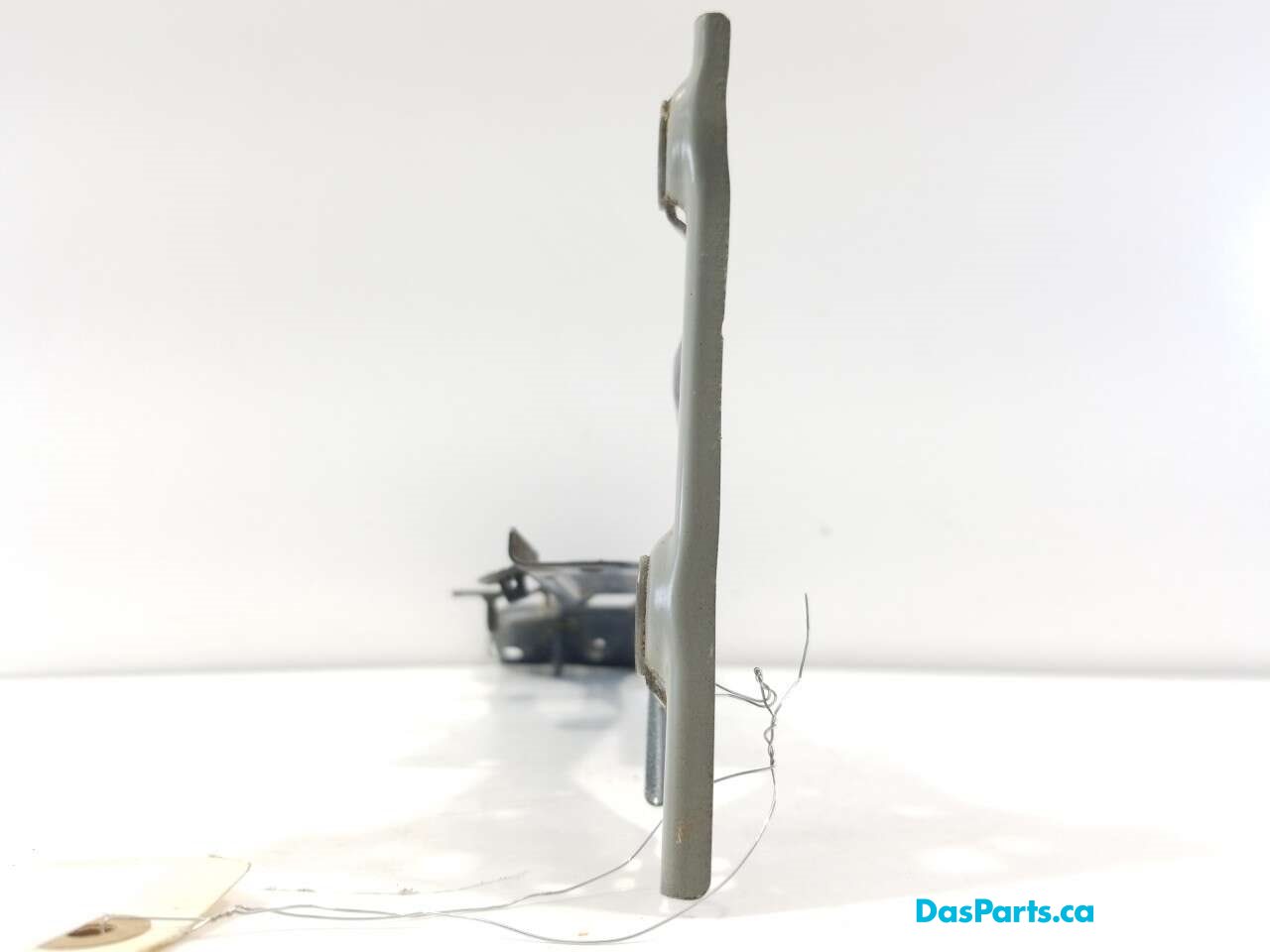 Fender Support RF