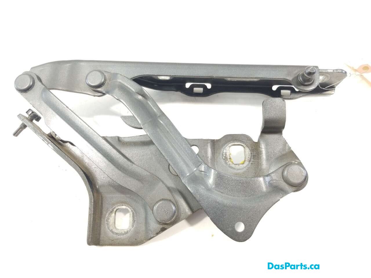 Hood Hinge R