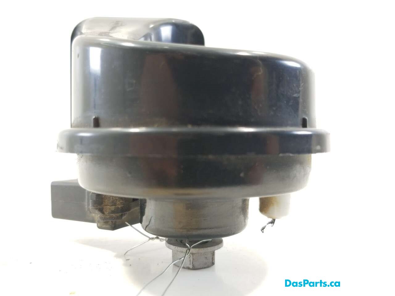 Horn Low Tone