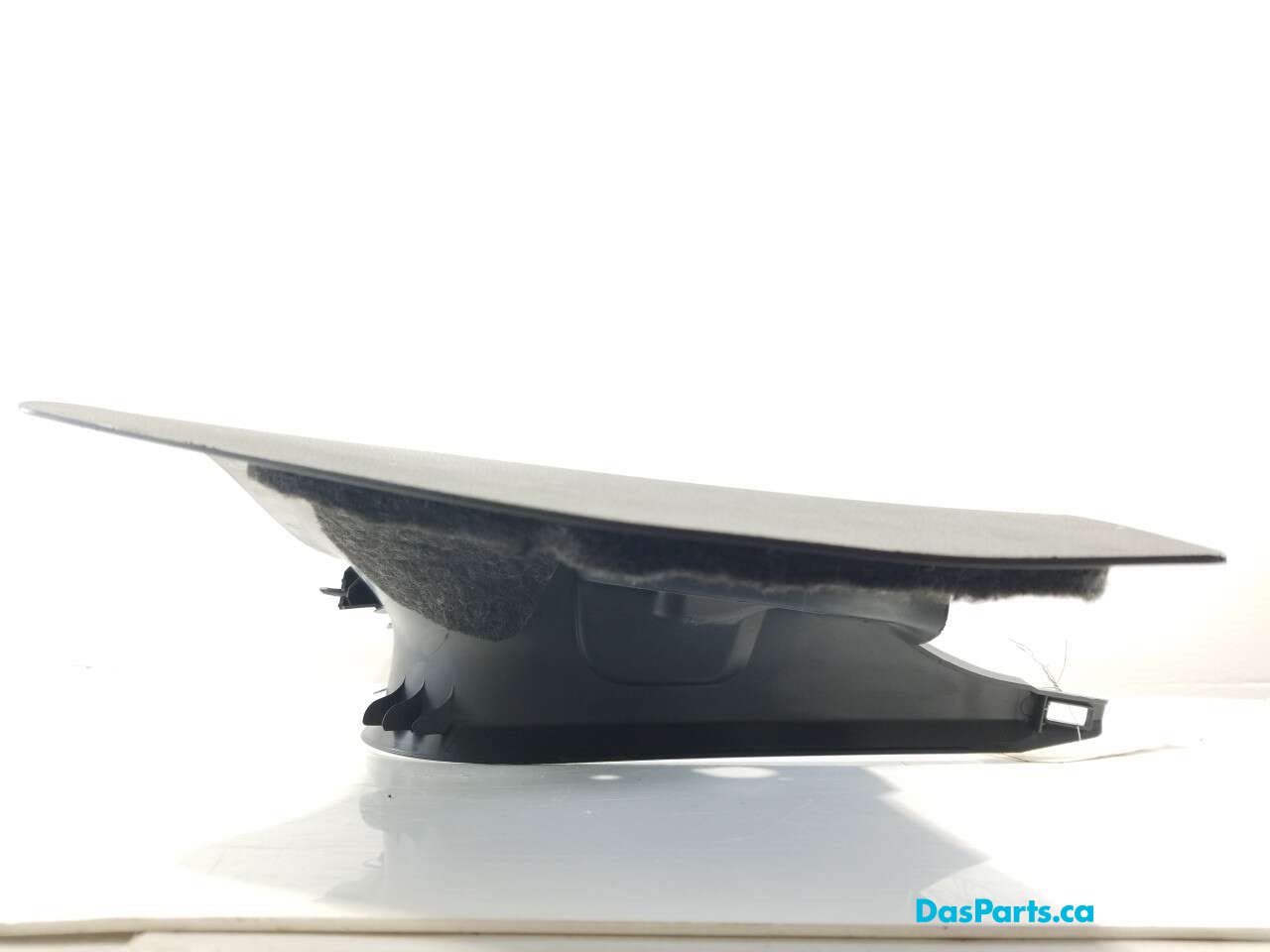 Lower Door Sill Trim LF