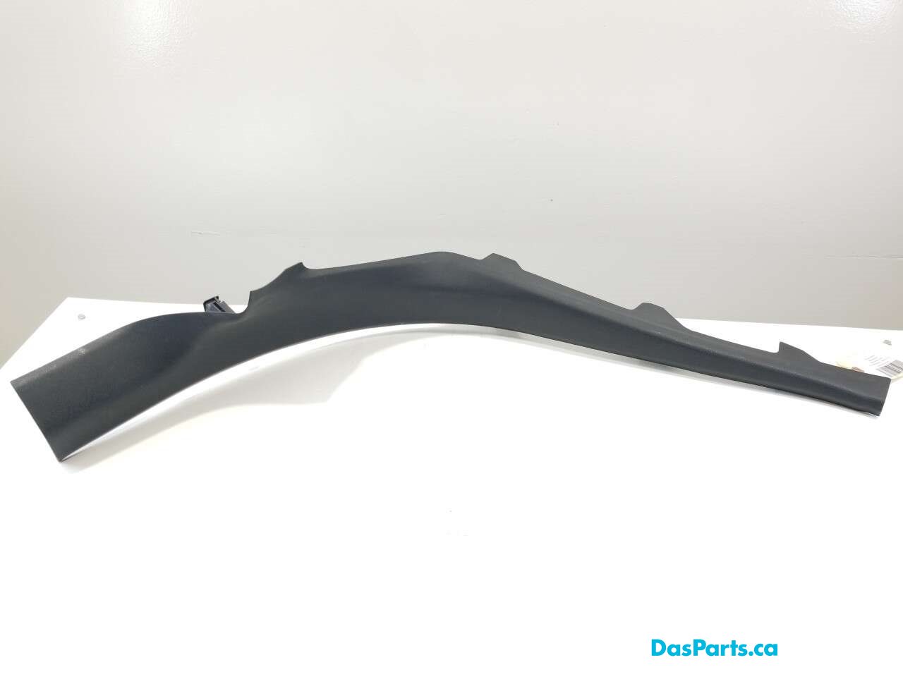 Lower Door Sill Trim LR