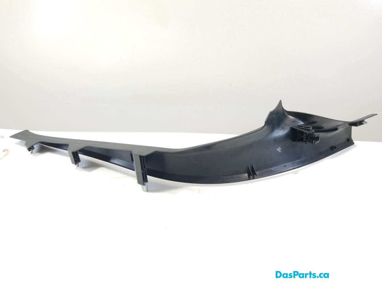 Lower Door Sill Trim LR