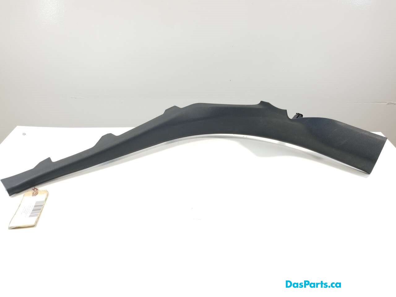 Lower Door Sill Trim RR