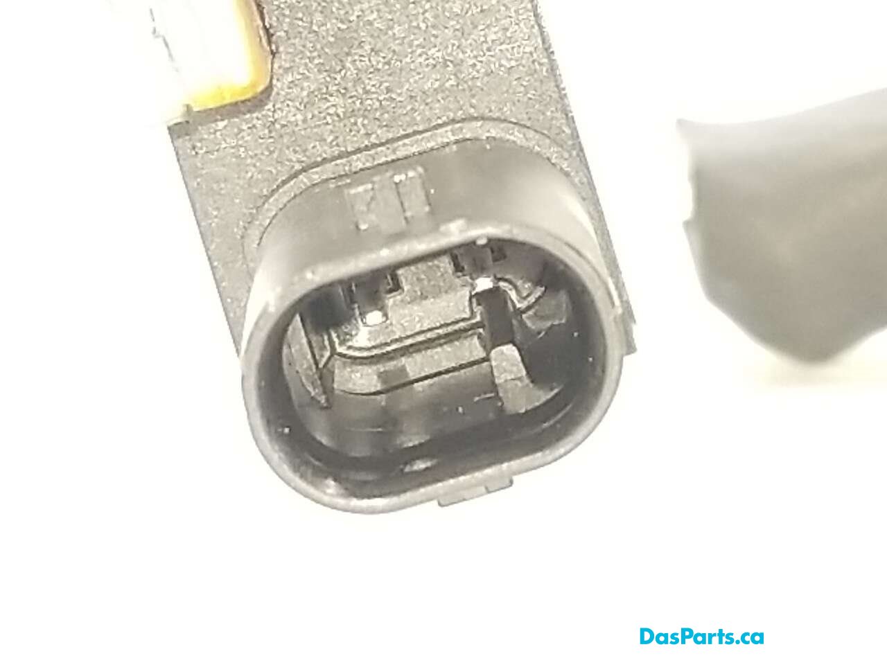 Main Ground Wire