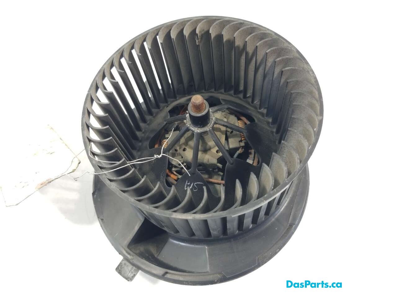 Blower Motor
