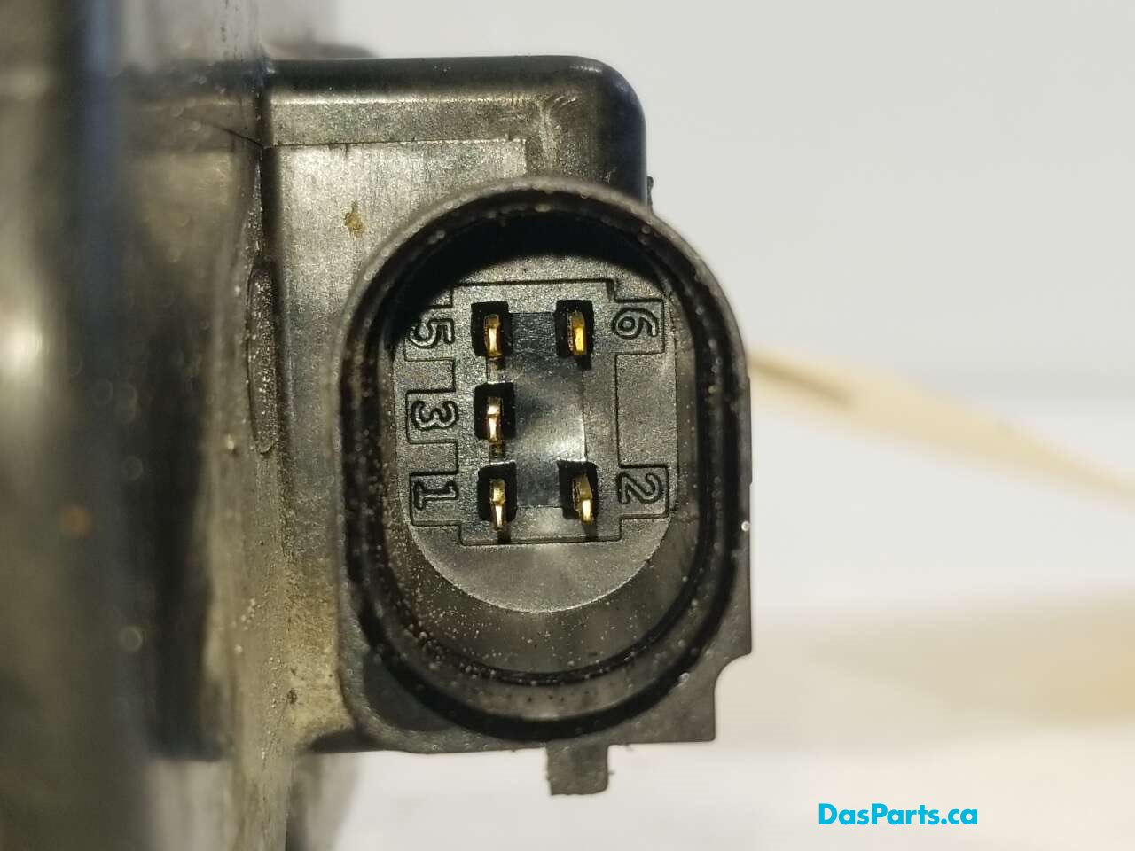 EGR Valve