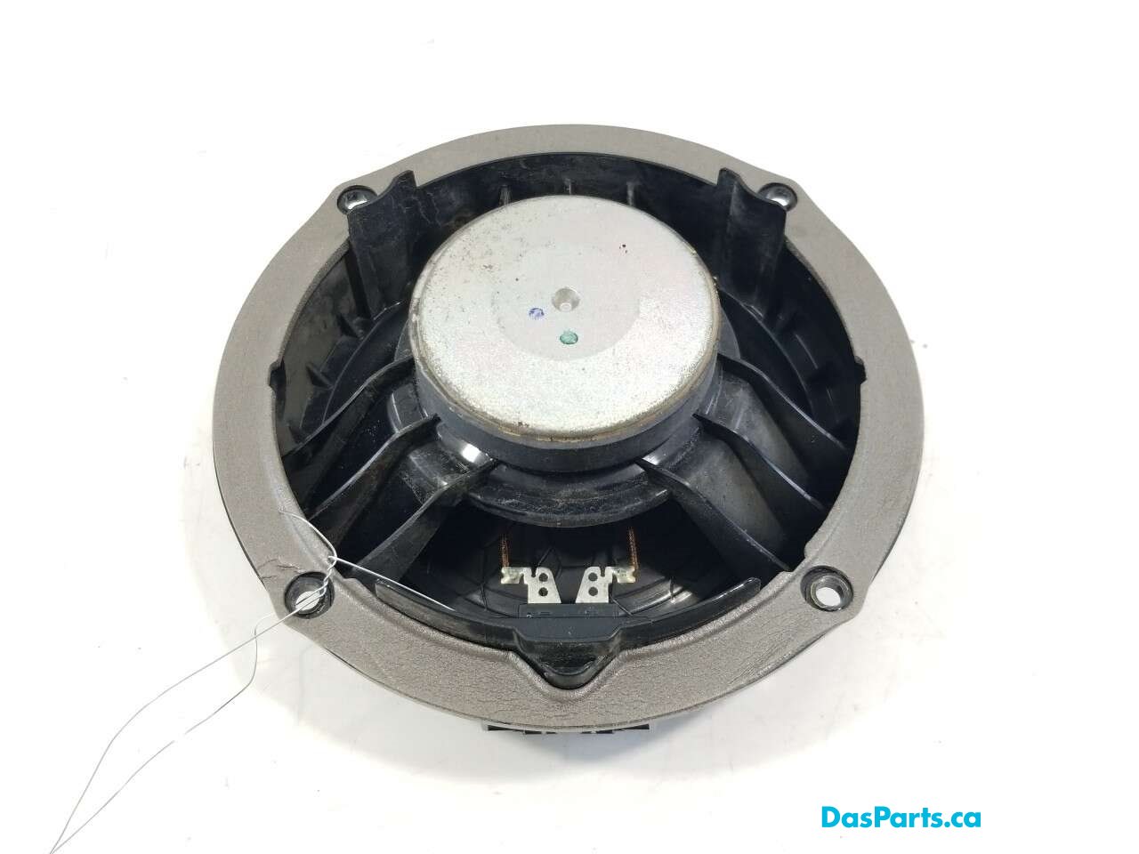 Speaker LR