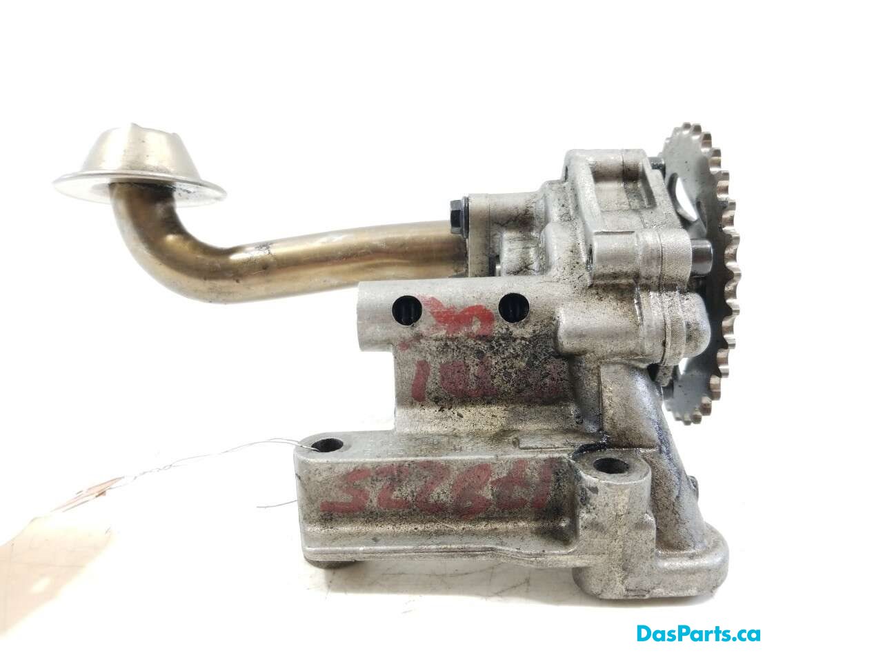 Oil Pump Assembly