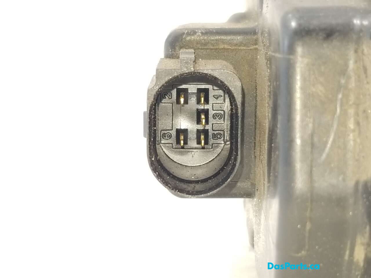 EGR Valve