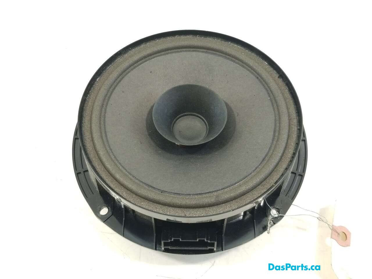 Speaker RF