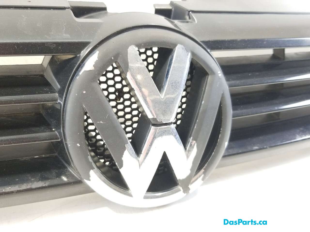 Main Grill