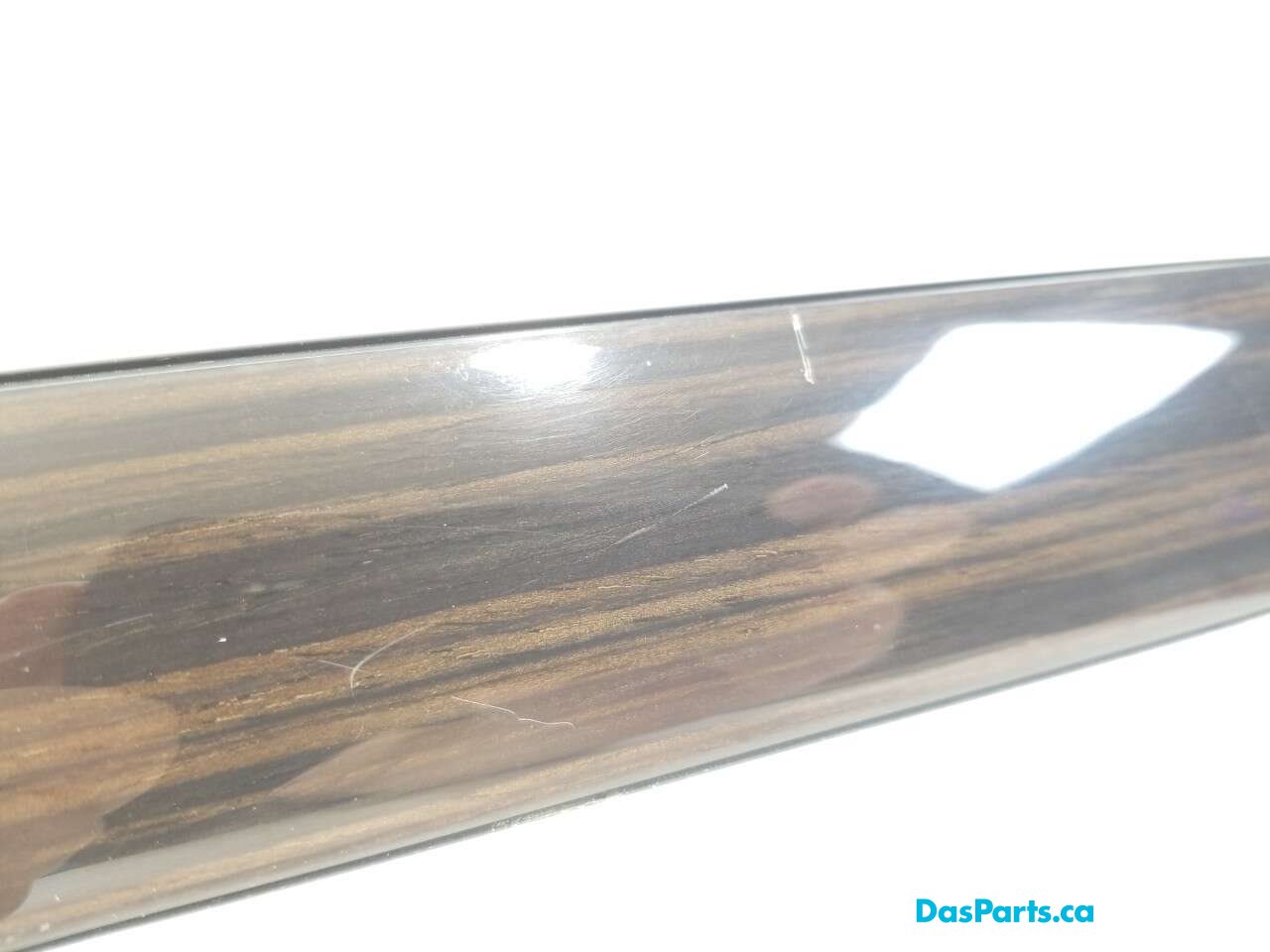 Door Trim RF