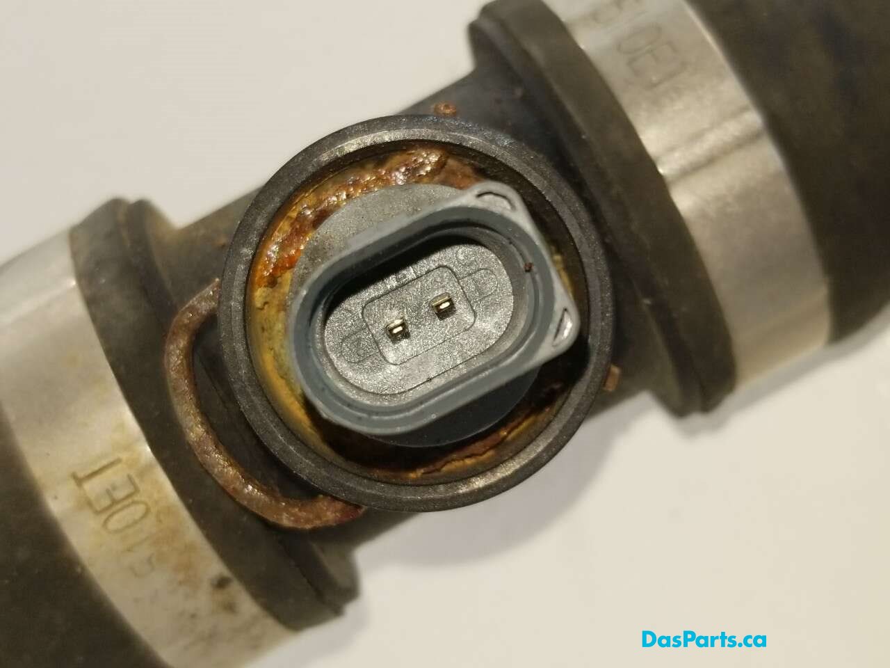 Lower Rad Hose