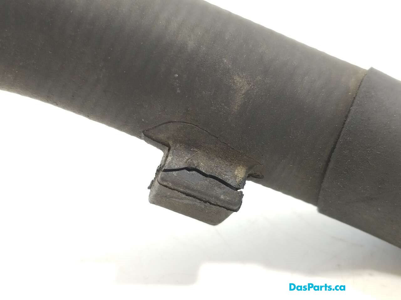 Lower Rad Hose