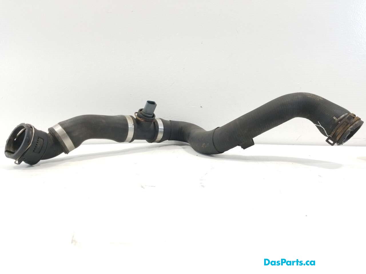 Lower Rad Hose