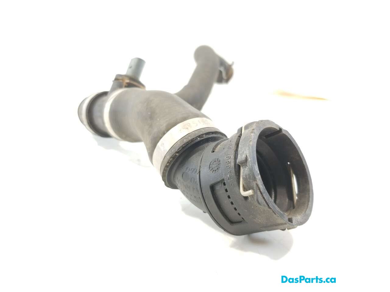 Lower Rad Hose