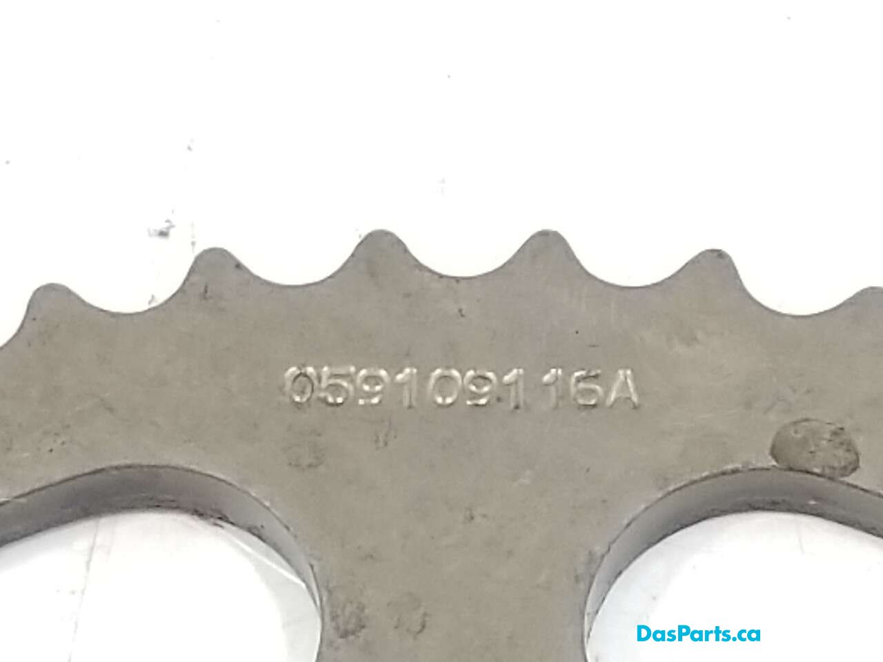 Camshaft Gear
