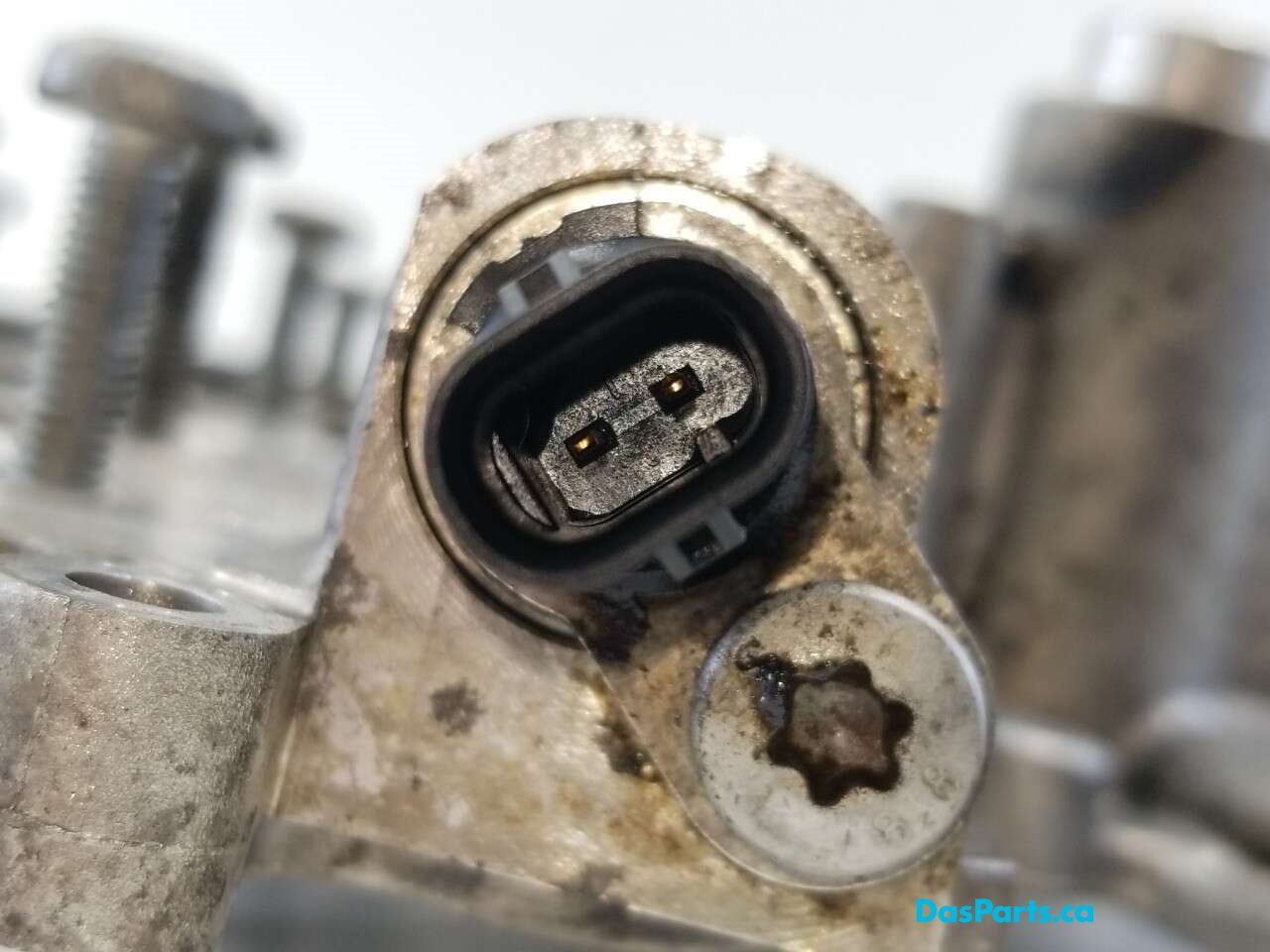 Front Main Seal Cover