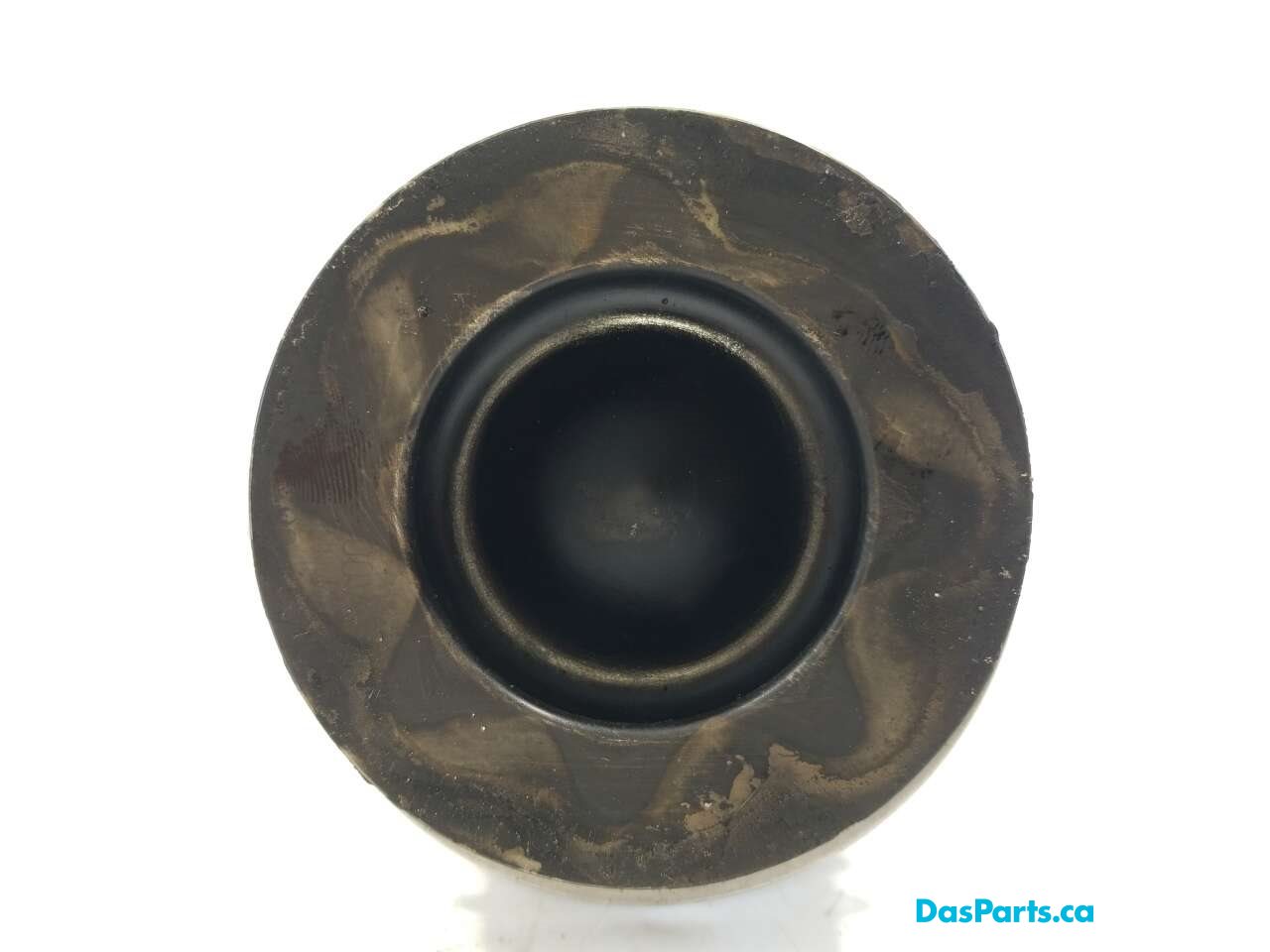 Piston & Rod Assembly 6