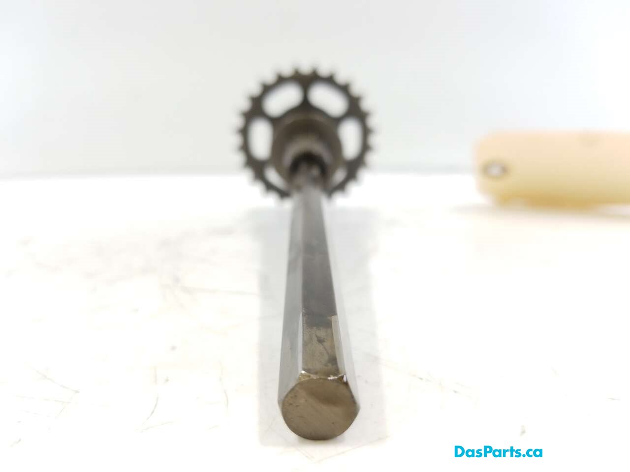 Oil Pump Drive Gear