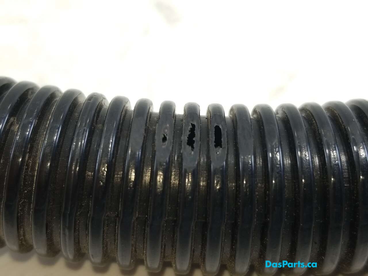 Secondary Air Hose 1
