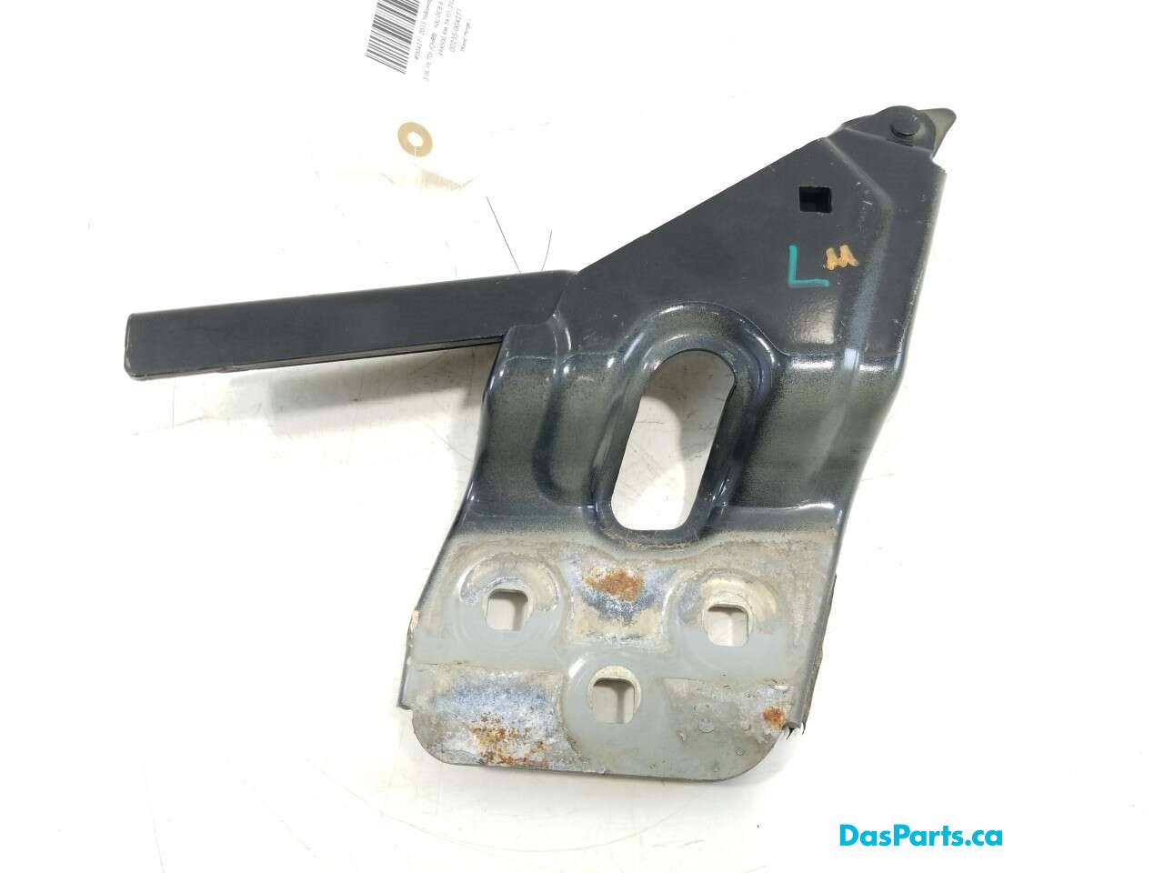 Hood Hinge L