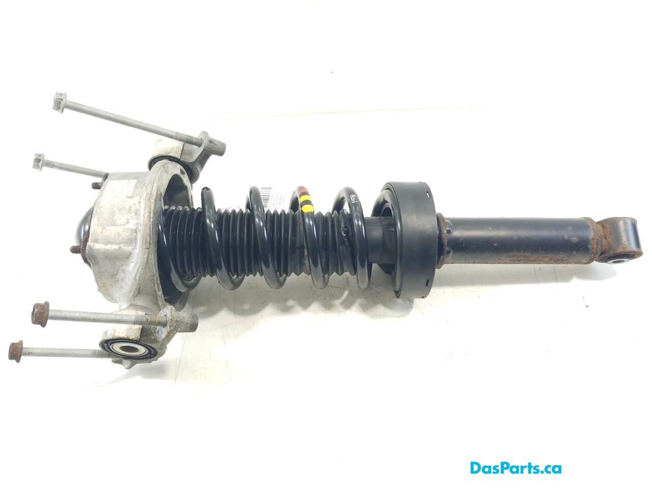 Strut Assembly LR