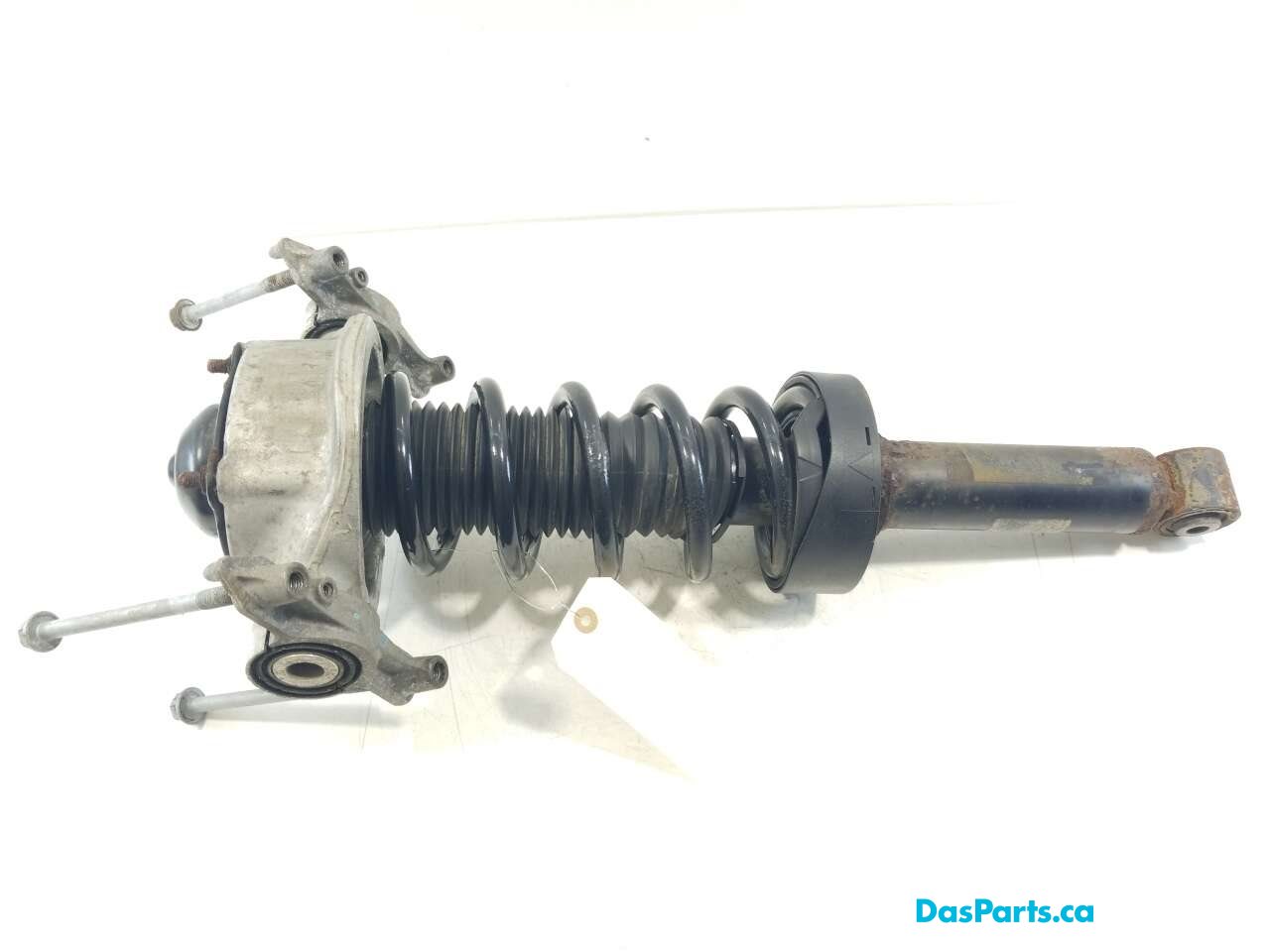 Strut Assembly LR