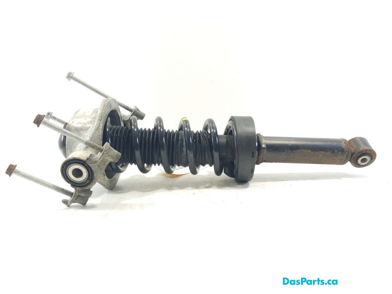 Strut Assembly LR