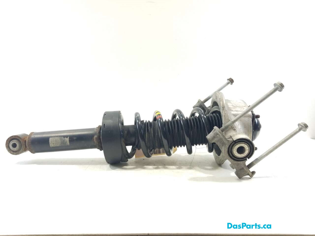 Strut Assembly LR