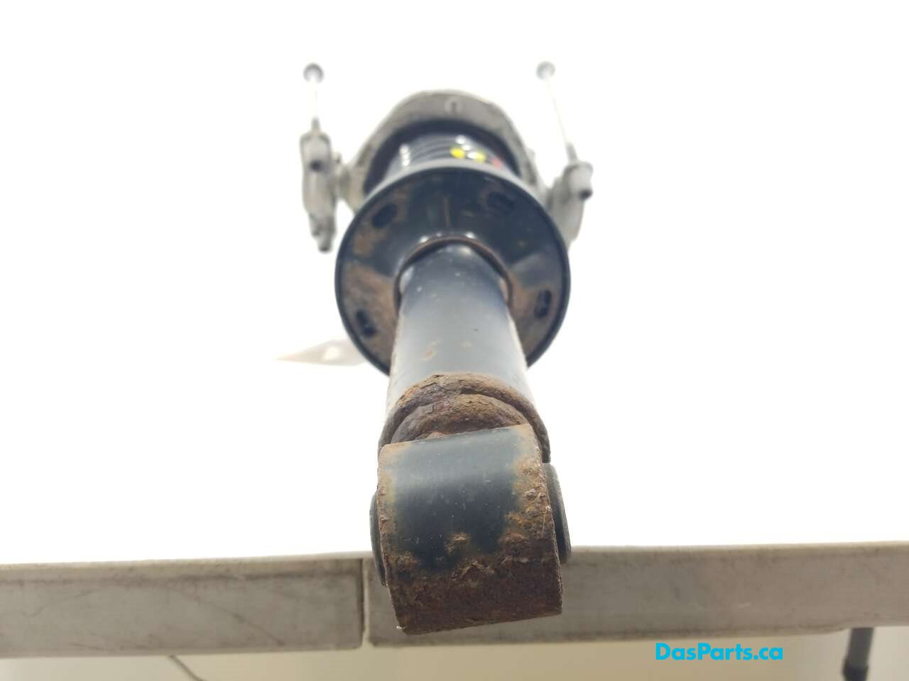 Strut Assembly LR