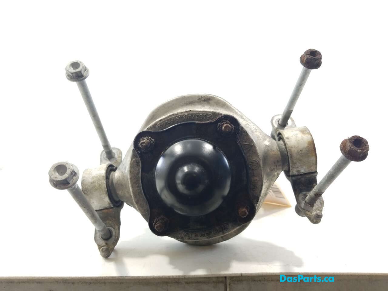 Strut Assembly LR