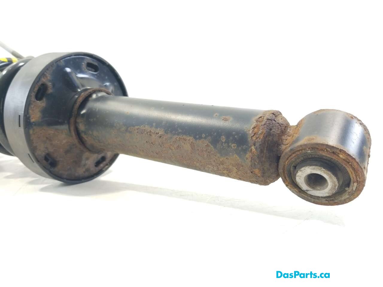 Strut Assembly LR