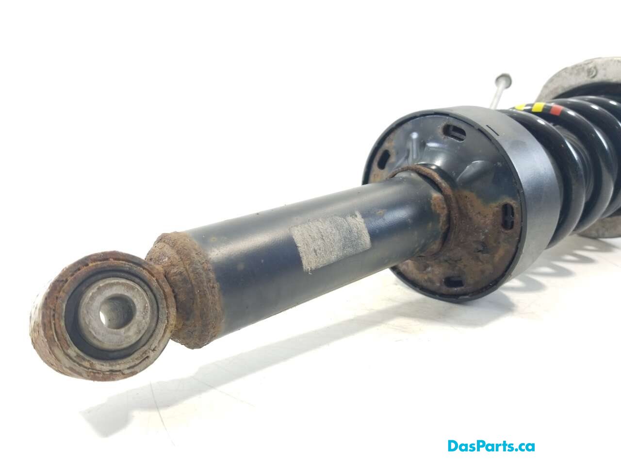 Strut Assembly LR