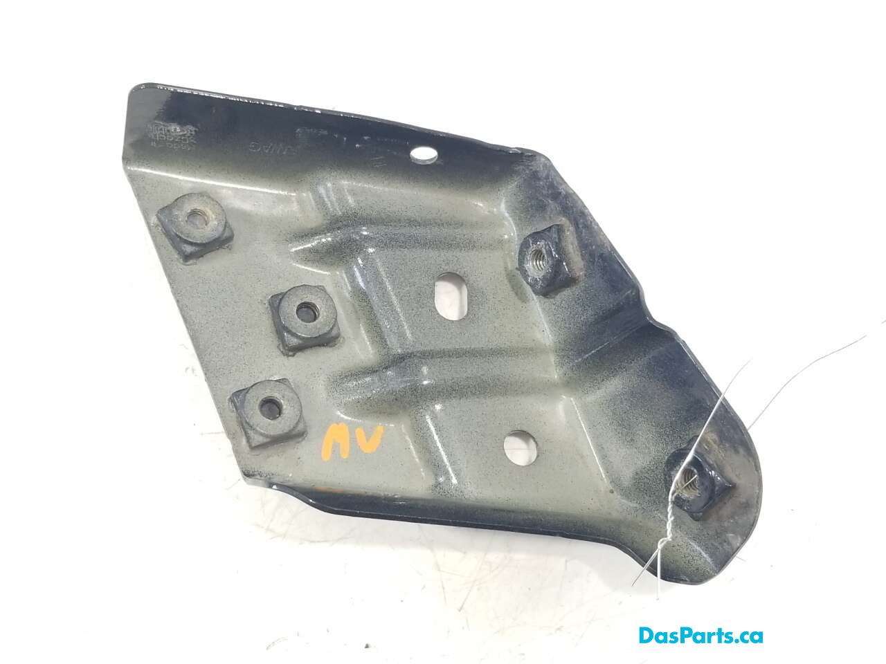 Fender Support LF