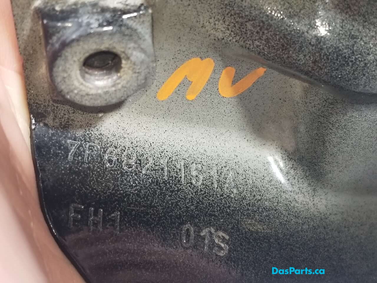 Fender Support LF