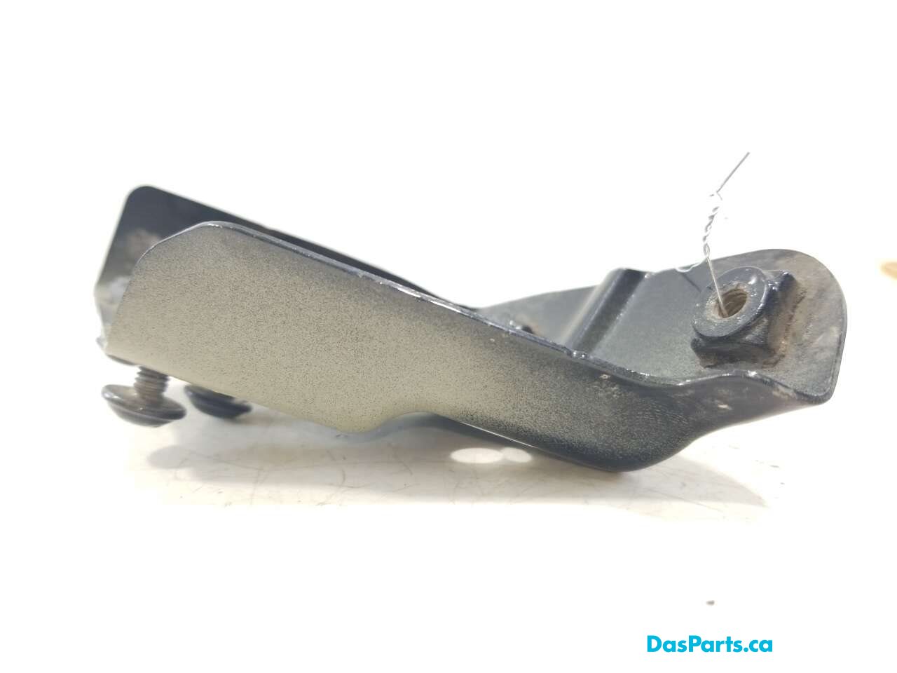 Fender Support LF