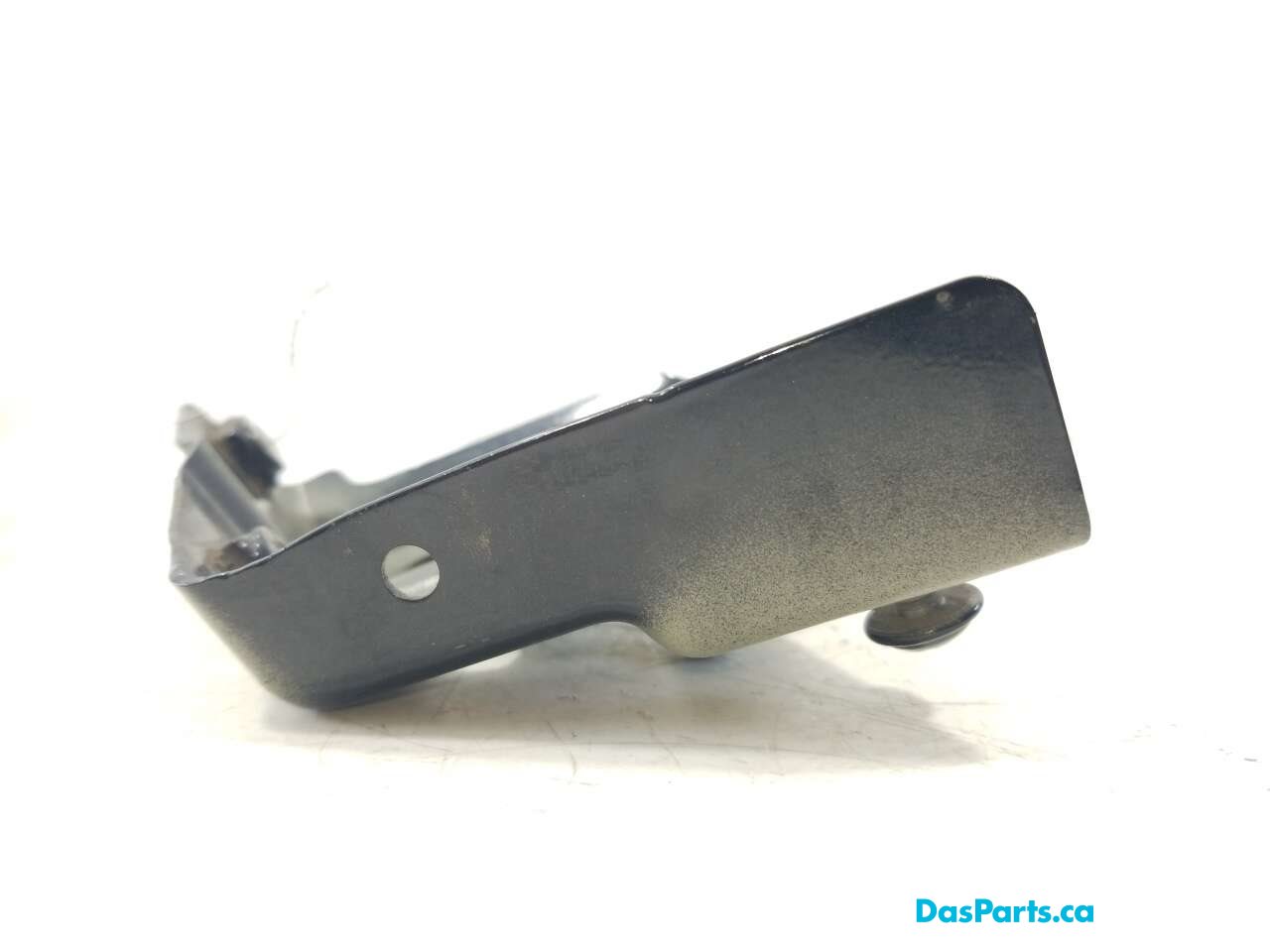 Fender Support LF