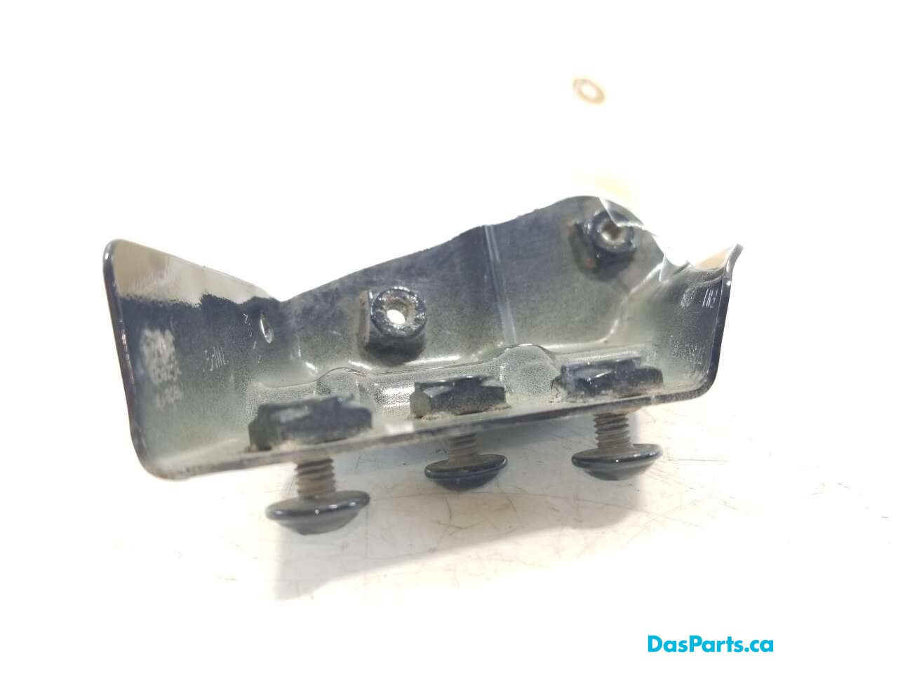 Fender Support LF