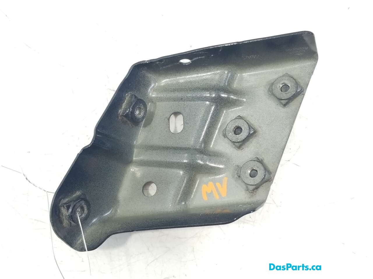 Fender Support RF