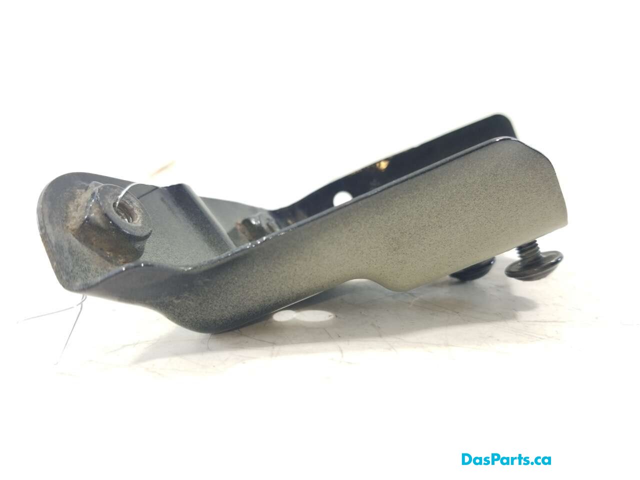 Fender Support RF