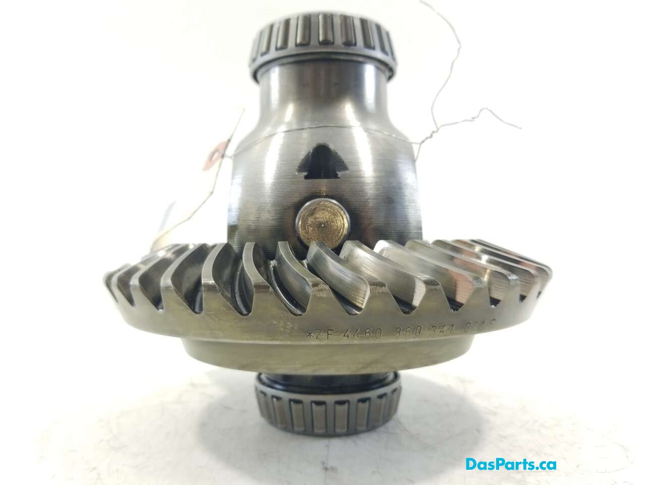 Front Diff